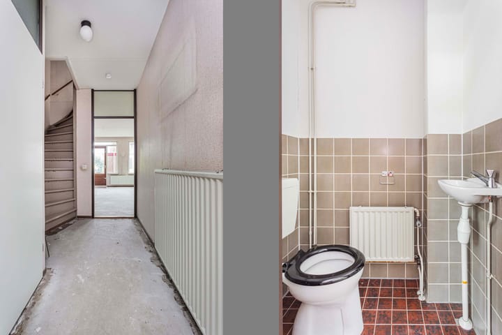 Foto 10 van Giraffeweide 12