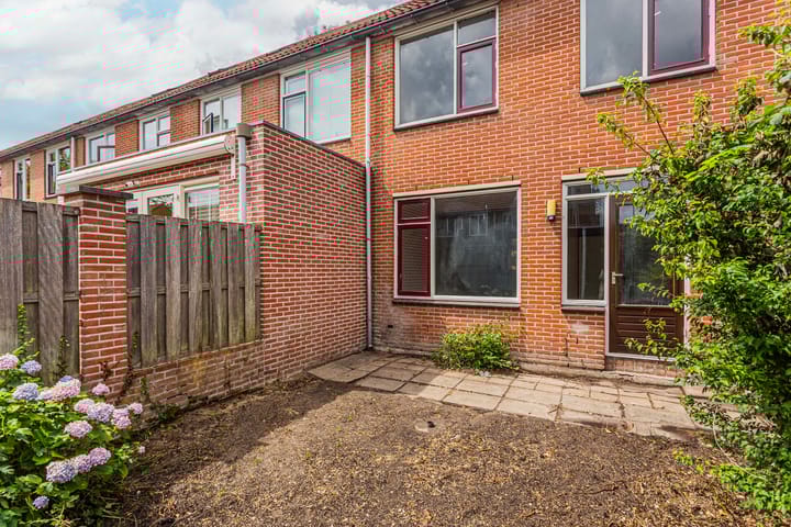 Foto 12 van Giraffeweide 12