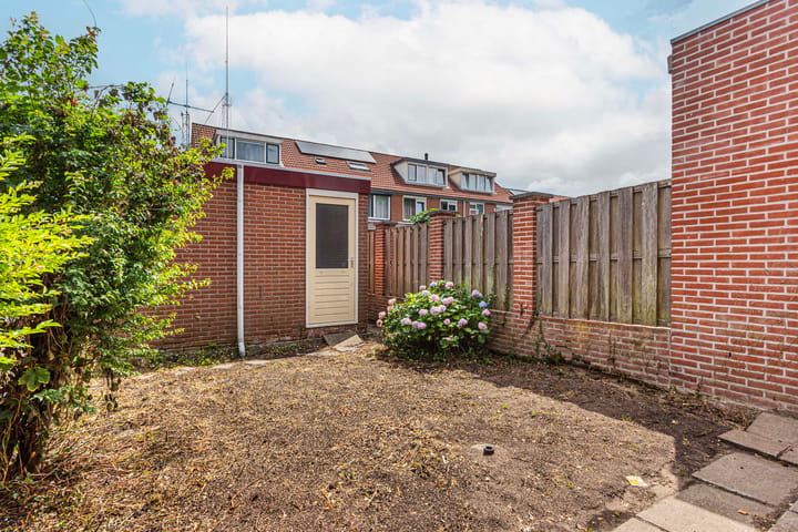 Foto 13 van Giraffeweide 12