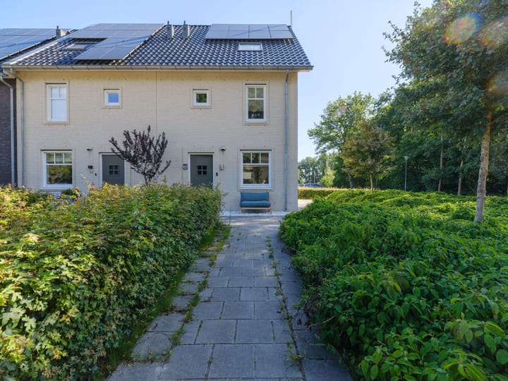 Foto 4 van Jelle Plantingstraat 88