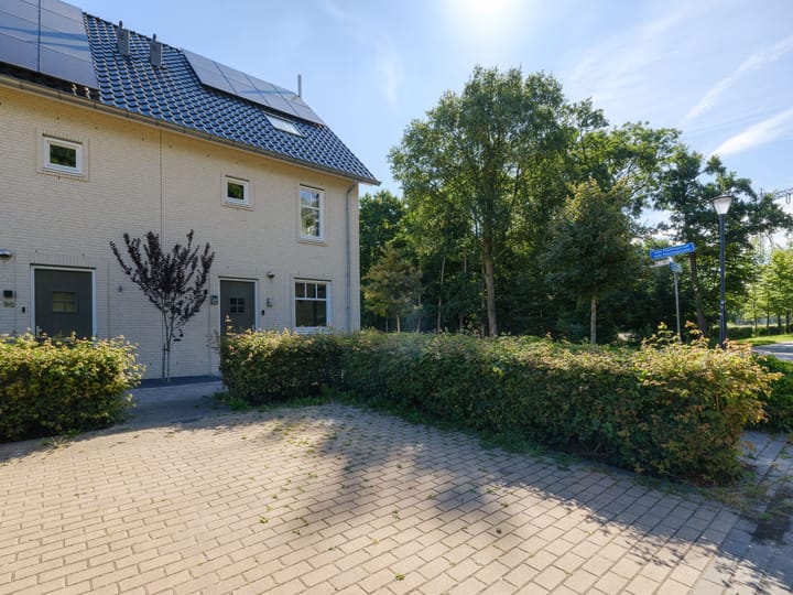 Foto 5 van Jelle Plantingstraat 88