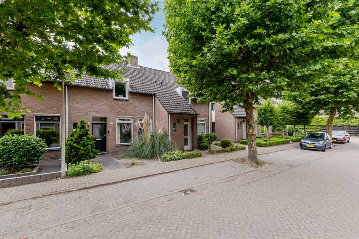 Foto 5 van Plataan 27