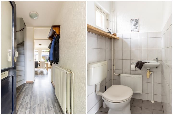 Foto 7 van Plataan 27