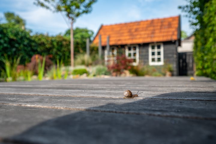 Foto 17 van Bachlaan 4