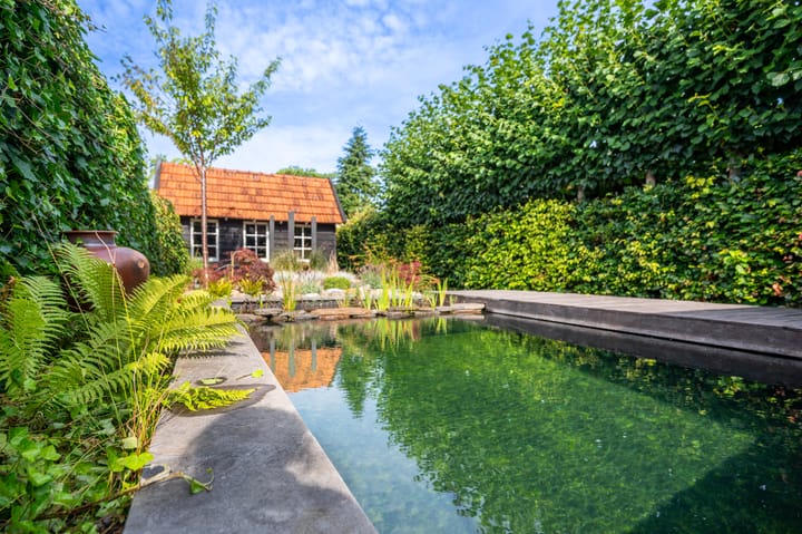 Foto 18 van Bachlaan 4