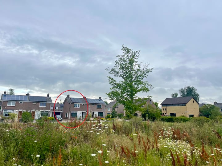 Foto 8 van Mondsteen 43