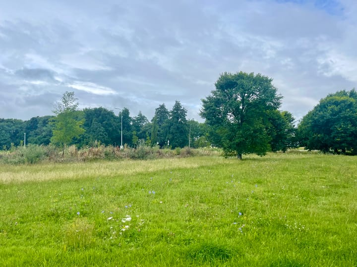 Foto 12 van Mondsteen 43