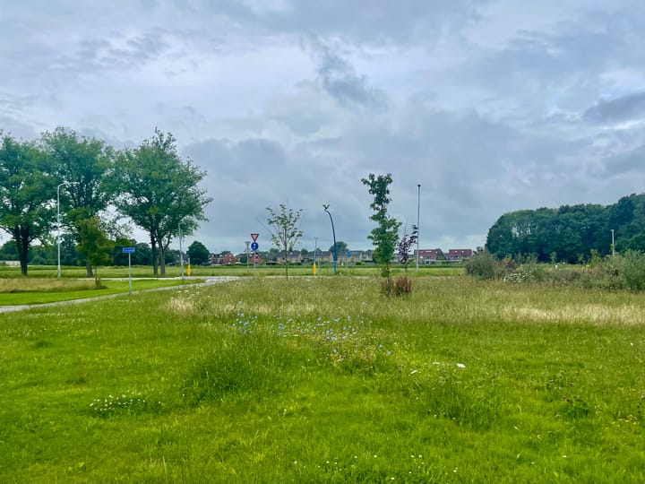 Foto 13 van Mondsteen 43