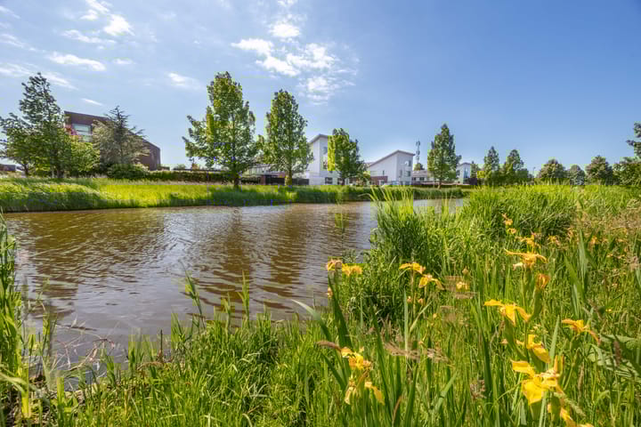 Foto 50 van Laurus Melselaan 11