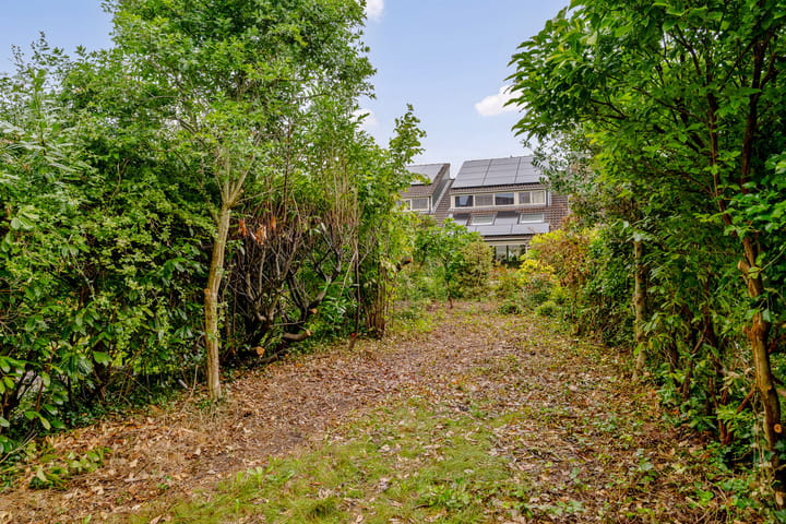 Foto 2 van Ereprijs 60