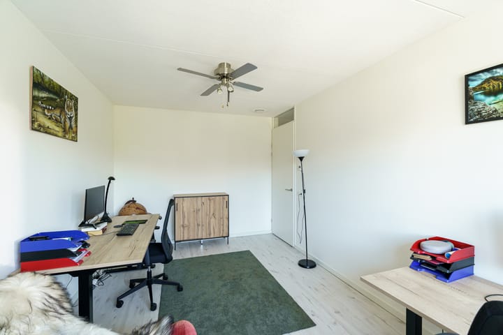 Foto 16 van Brilduiker 16