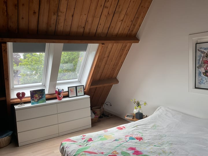 Photo 25 of Burgemeester Scholtensplein 11