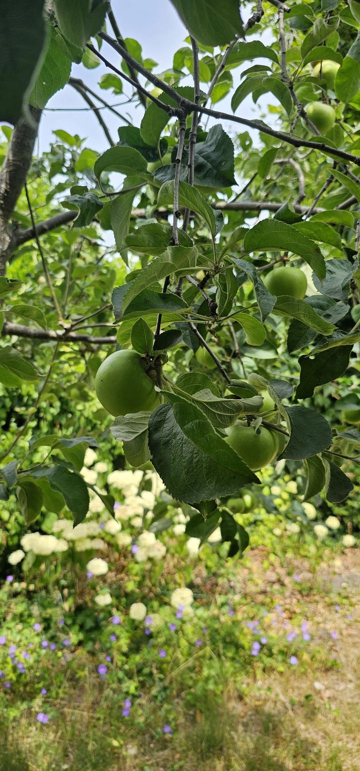 Foto 35 van Geert Grootestraat 45