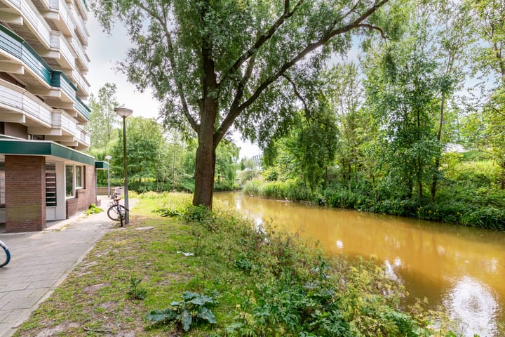 Foto 42 van Loenermark 146