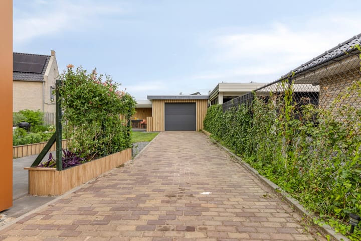 Photo 42 of Duvensteijn 16