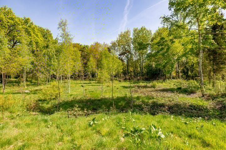 Foto 41 van Het Hooge Veld 5