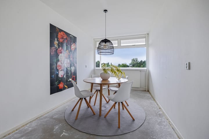 Foto 6 van van Harinxmaplein 109