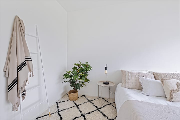 Foto 19 van van Harinxmaplein 109