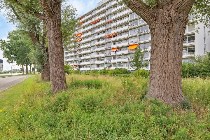 Foto 44 van van Harinxmaplein 109