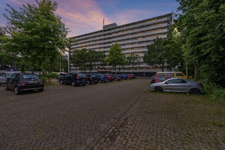 Foto 45 van van Harinxmaplein 109