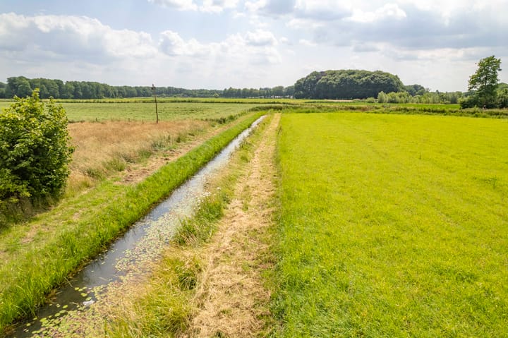 Foto 45 van de Hof 23