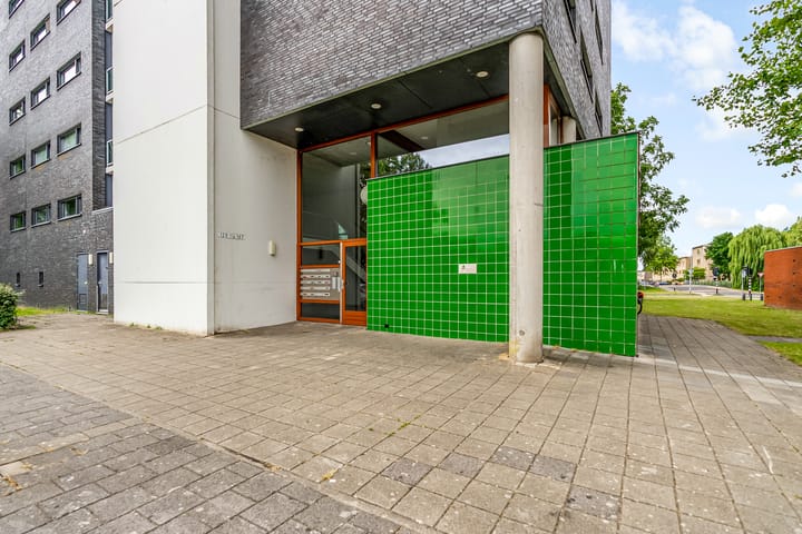 Foto 6 van Salsastraat 149