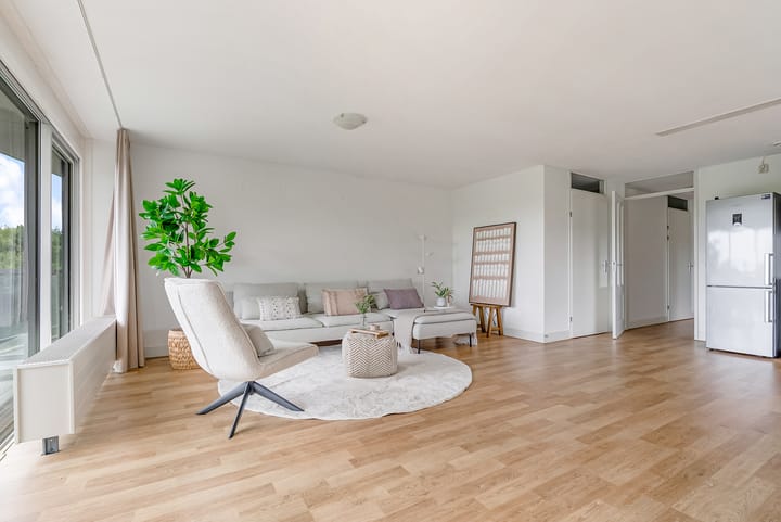 Foto 15 van Salsastraat 149