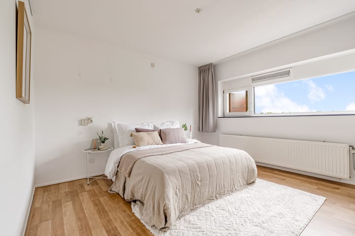 Foto 23 van Salsastraat 149