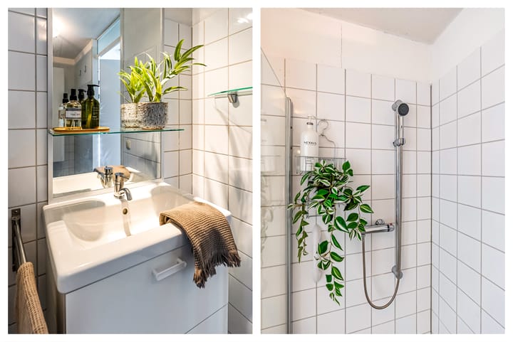 Foto 29 van Salsastraat 149