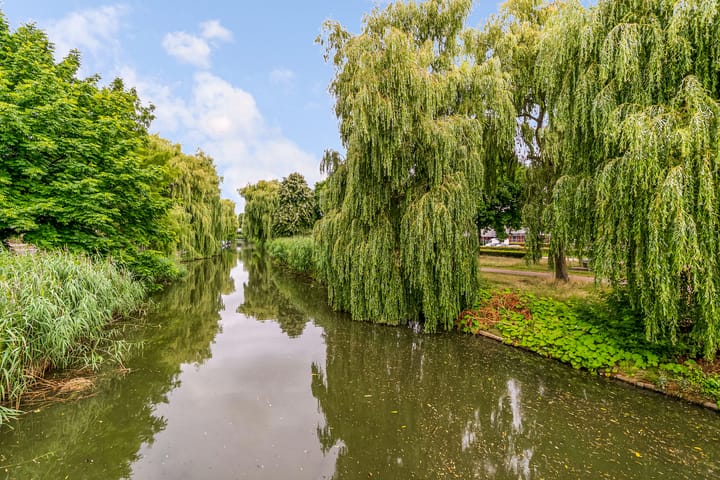 Foto 37 van Salsastraat 149