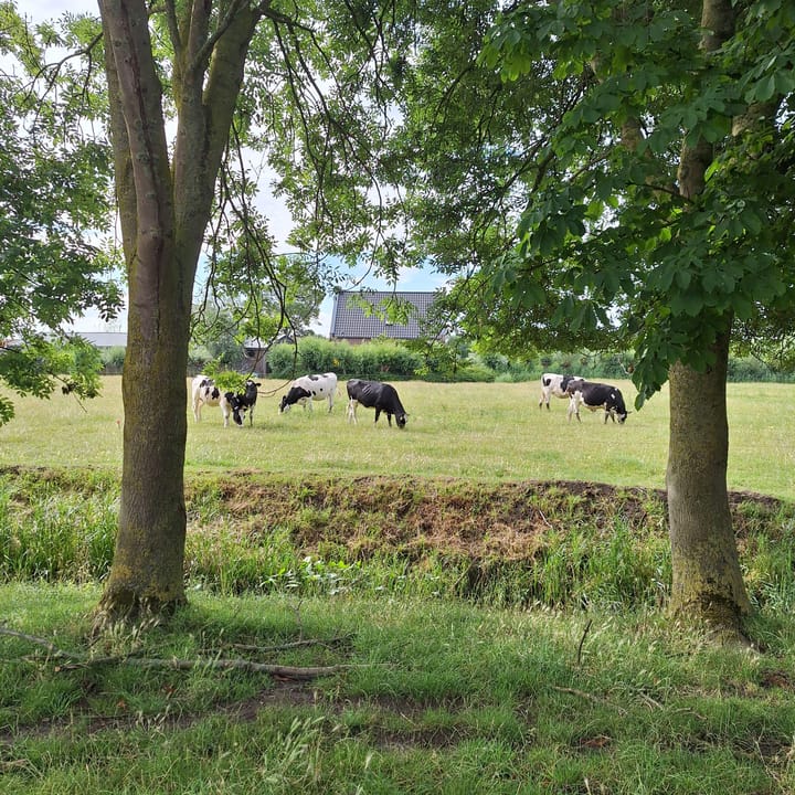 Foto 45 van Zuideindseweg 27