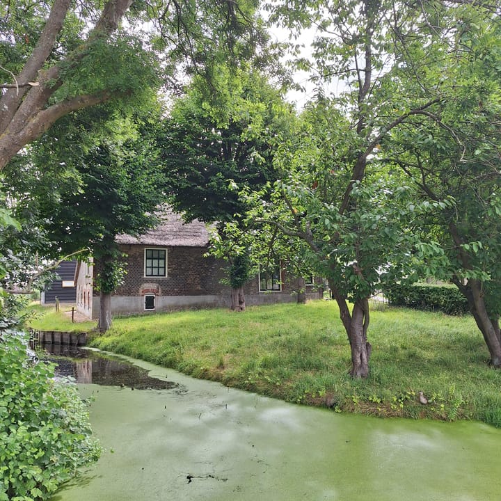 Foto 46 van Zuideindseweg 27