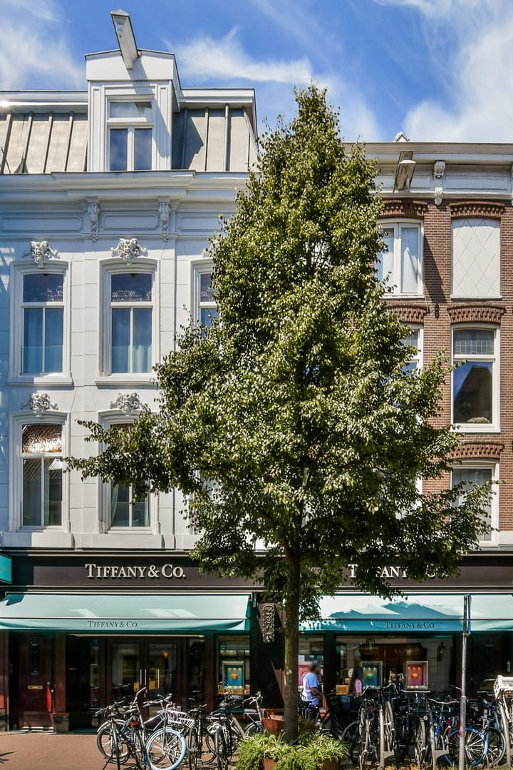 Foto 1 van Pieter Cornelisz. Hooftstraat 88-1