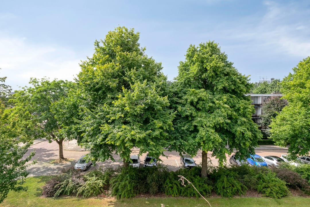 Foto 11 van Veldmaarschalk Montgomerylaan 404