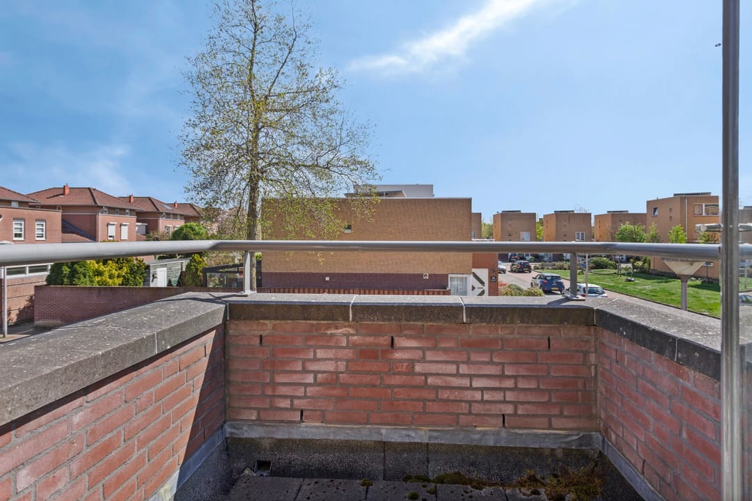 Foto 22 van Il Trovatore 19