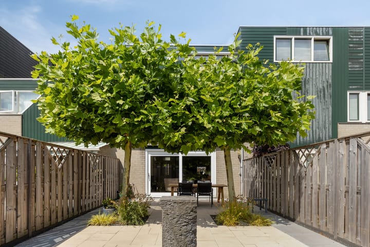 Photo 29 of De Jacht 8