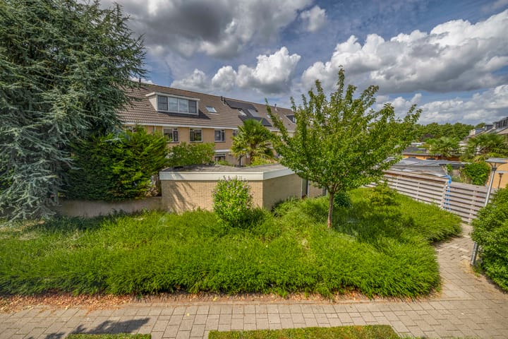 Foto 45 van Bizetstraat 36