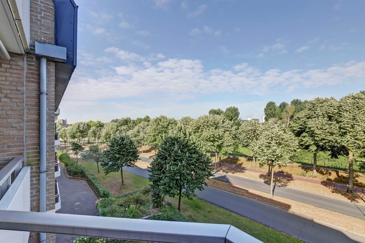 Foto 14 van De Roskam 99