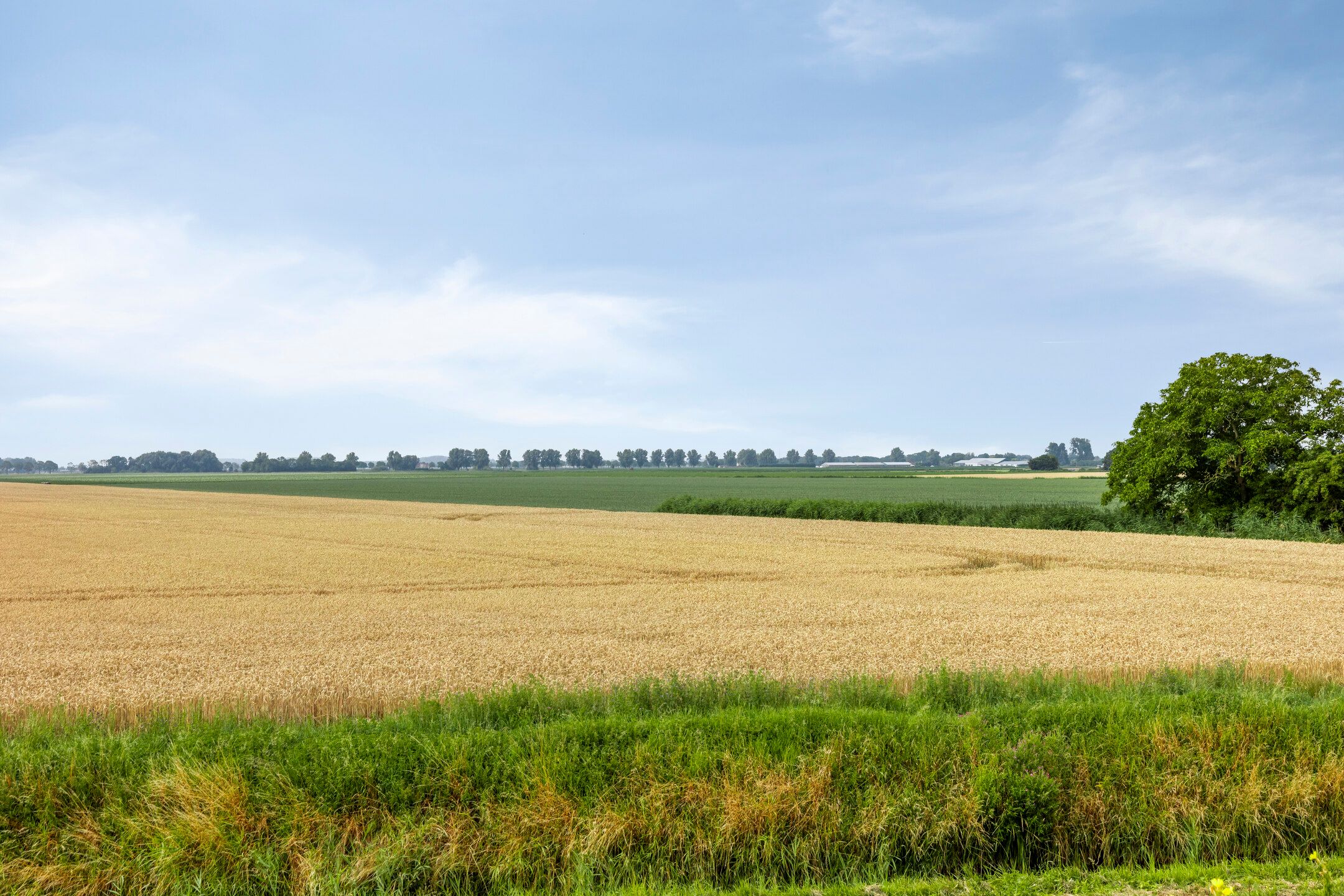 Foto 3 van Rijksweg 9