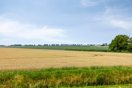 Rijksweg 9 tertiary image