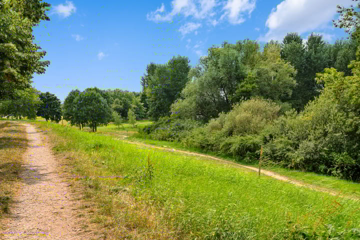 Foto 21 van De Roskam 99