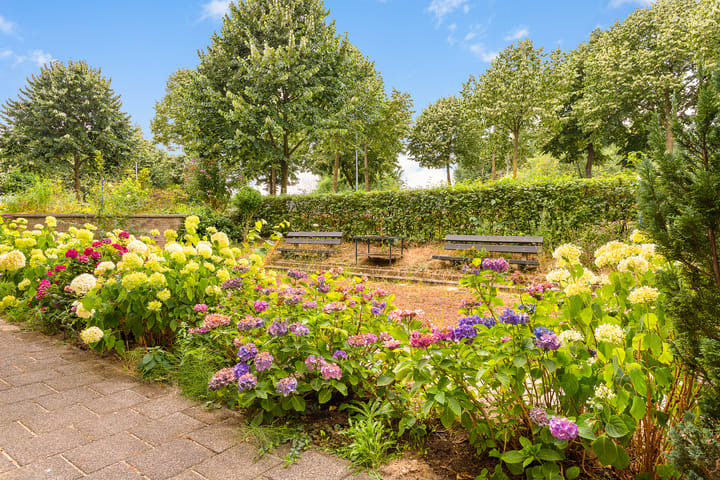 Foto 22 van De Roskam 99