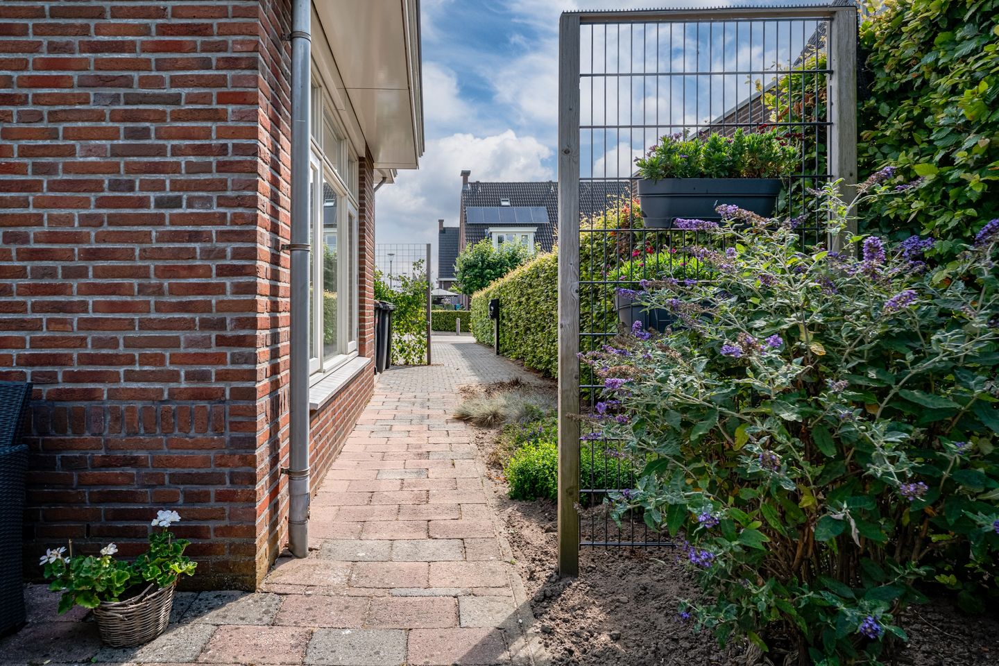 Foto 40 van Schuttersveld 19