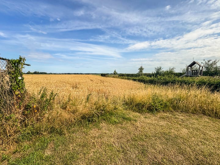 Foto 63 van Schuttersveld 19