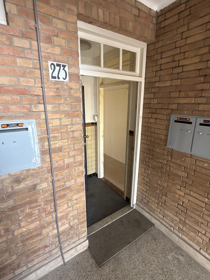 Foto 3 van Soestdijksekade 273