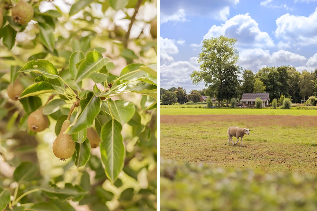 Foto 47 van Dokter Kijlstrawei 11