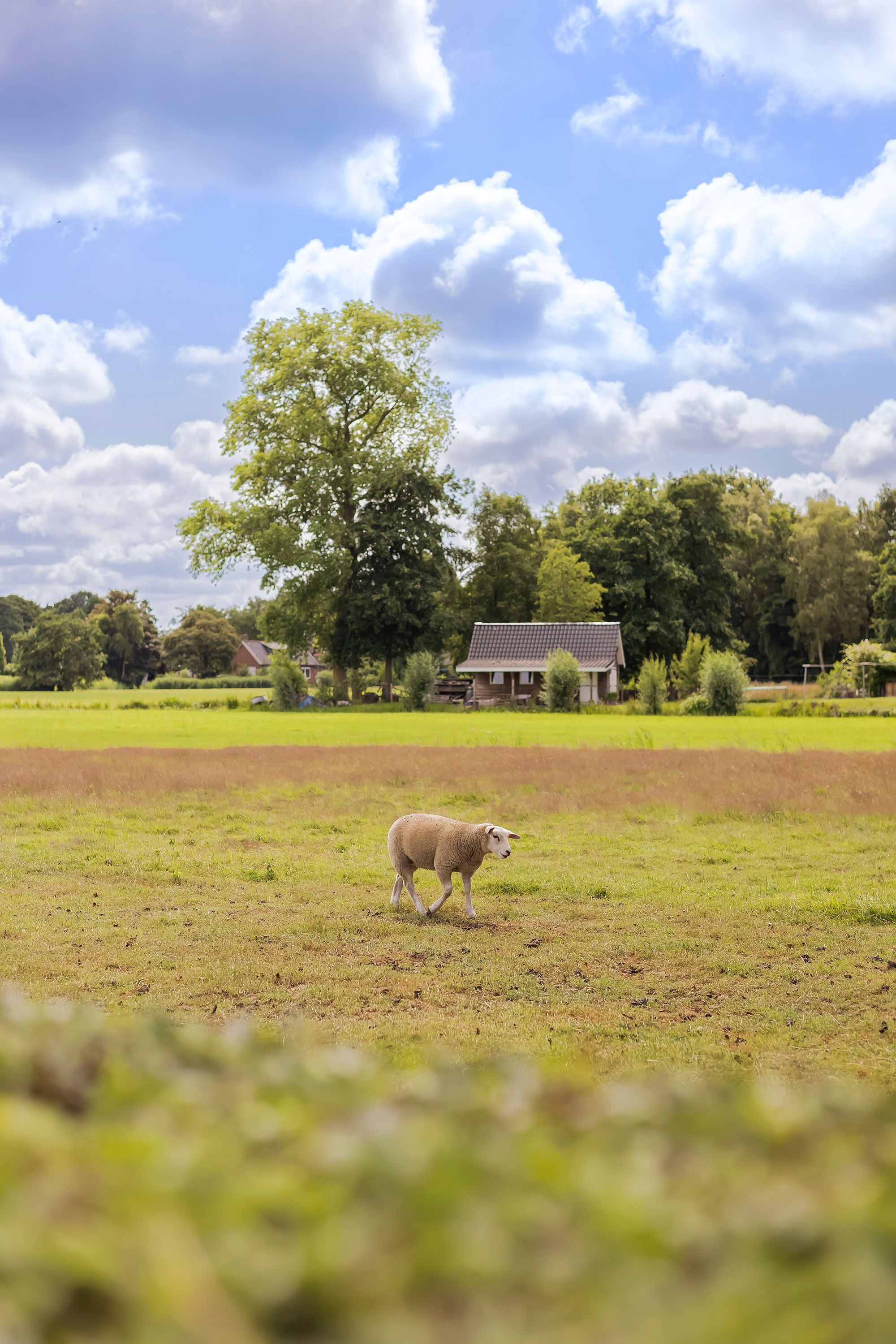 Foto 48 van Dokter Kijlstrawei 11