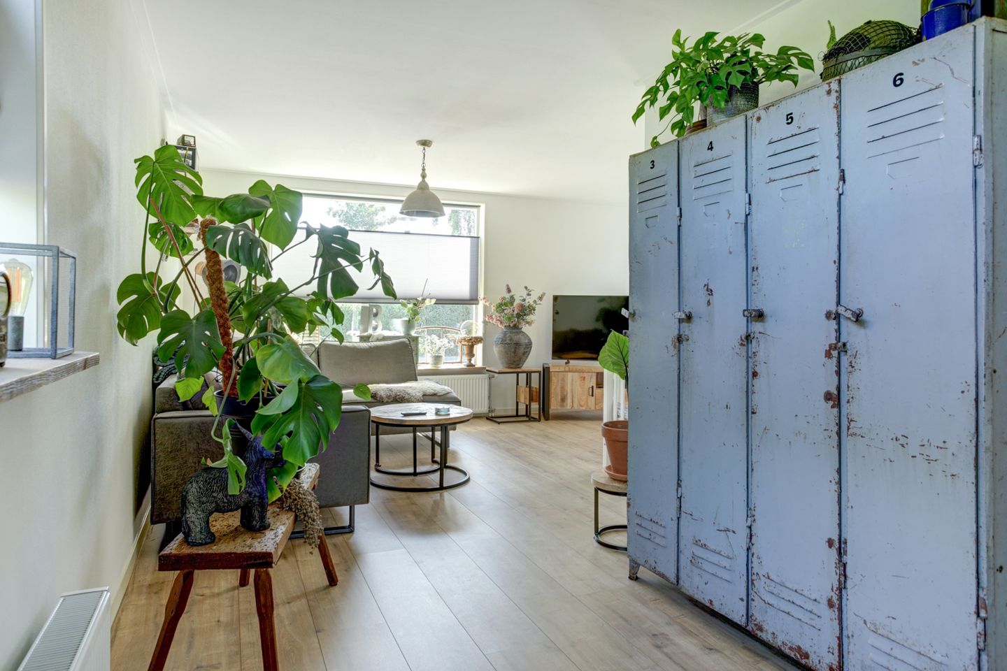 Foto 10 van Ratelwacht 5