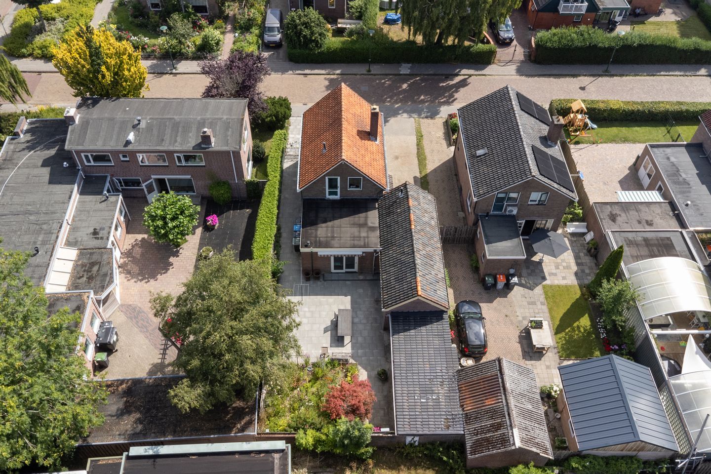 Foto 34 van Ratelwacht 5