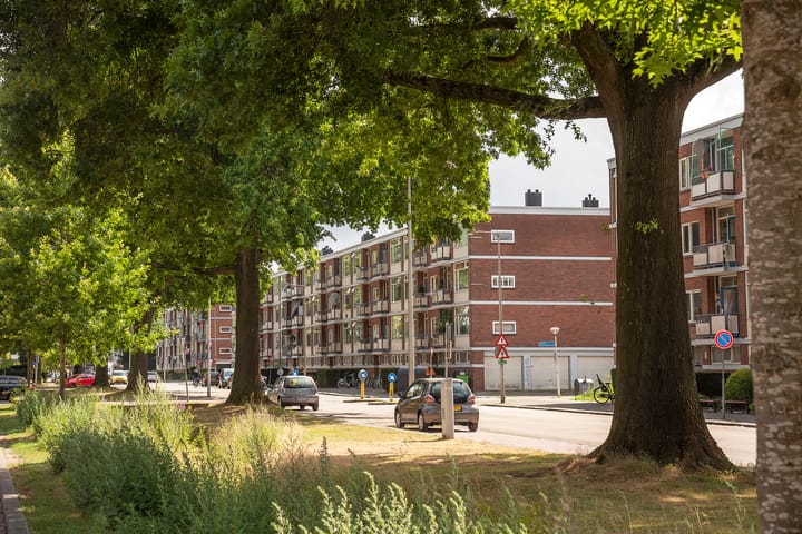 Foto 28 van Rembrandtlaan 256